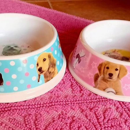 فيلا La Conchiglietta Blu كارديدو المظهر الخارجي الصورة